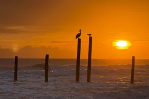 Ocean-Beach-Club-ocean-view-outside-view